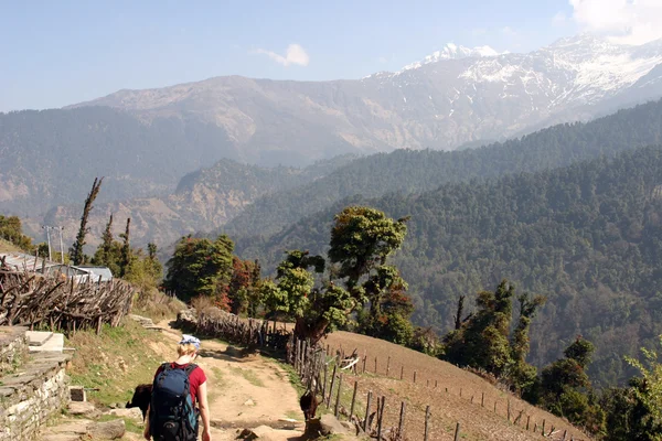 Annapurna trek himalaya içinde — Stok fotoğraf