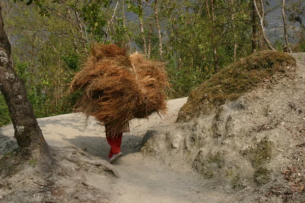 Nepal portierzy — Zdjęcie stockowe