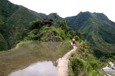 Filipinler batad pirinç alanları