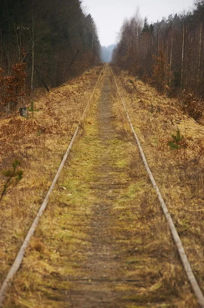 Kullanılmayan demiryolu — Stok fotoğraf