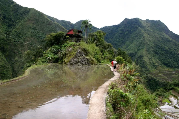 Vandringen ris fält Filippinerna — Stockfoto