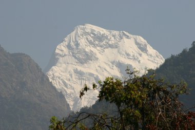 Annapurna