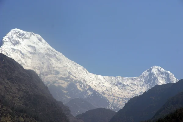 Annapurna-Schnee — Stockfoto