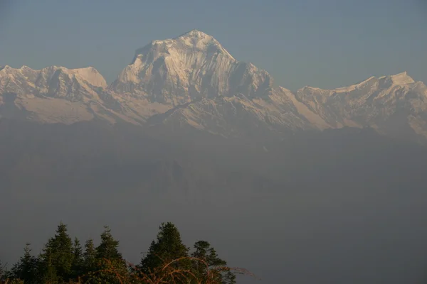 Annapurna kar — Stok fotoğraf