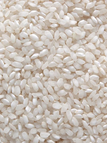 Fehér rizs Jogdíjmentes Stock Képek