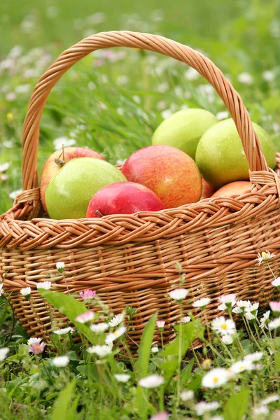 Квіти і яблука — стокове фото