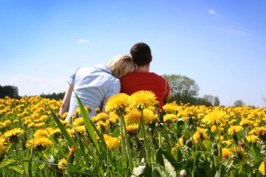 Love in dandelions clipart