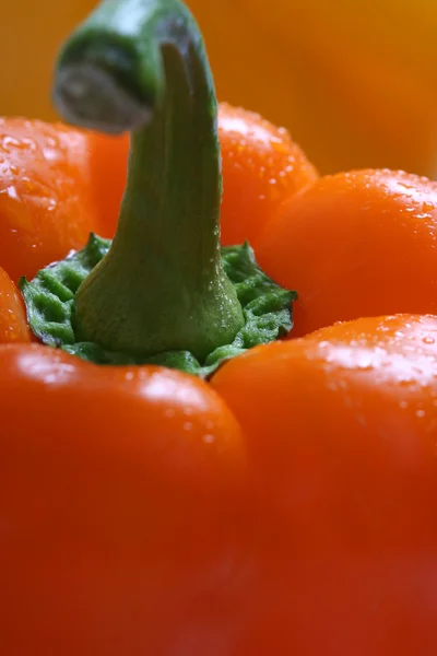 Grunt dof peppar — Stockfoto