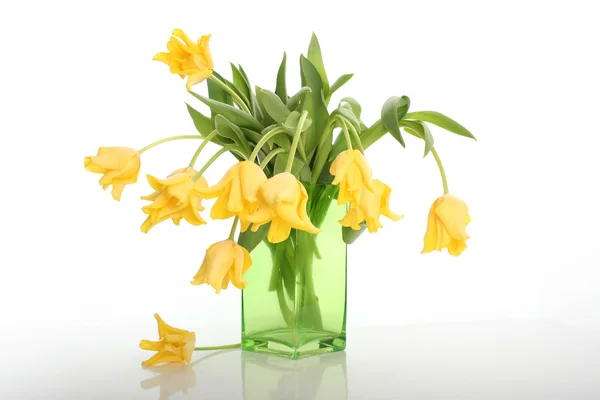 Tulipanes amarillos sobre blanco — Foto de Stock