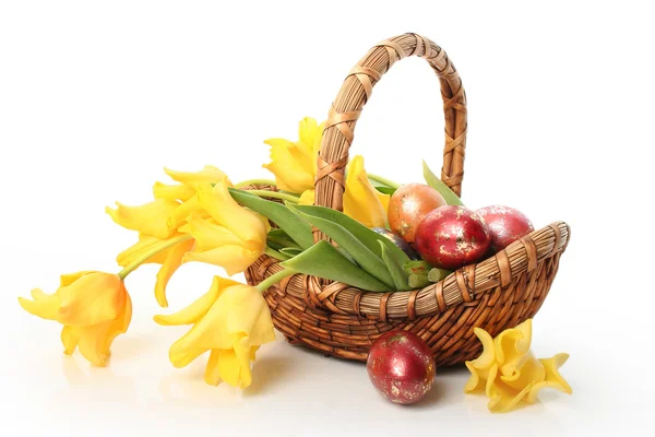 Żółte tulipany w bascet — Zdjęcie stockowe