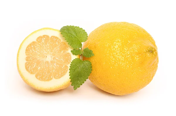 柑橘類、ミント — ストック写真