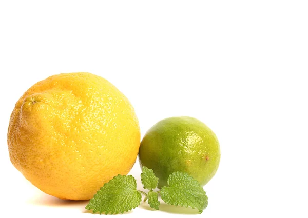 Lime és citrom — Stock Fotó