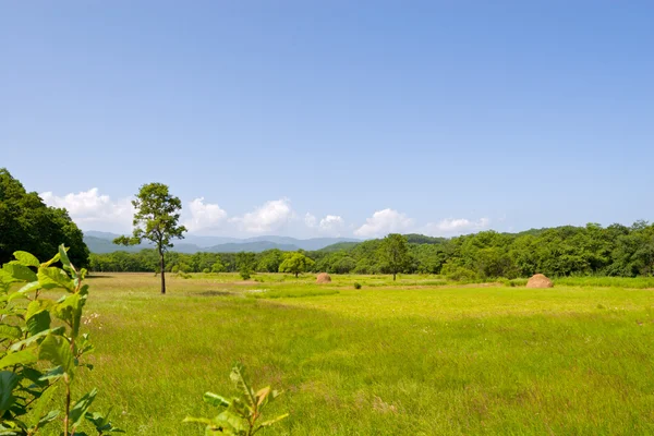 stock image Landscape