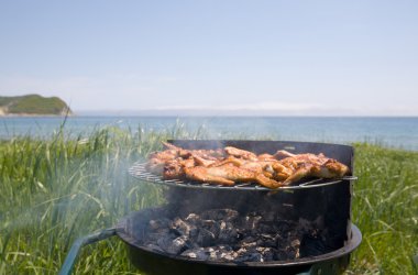 Barbecue & sea clipart