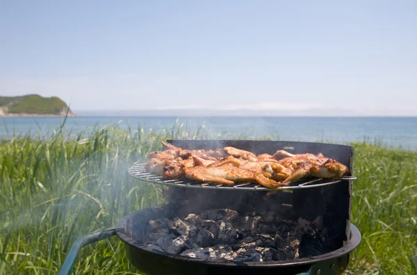 Barbecue & moře — Stock fotografie