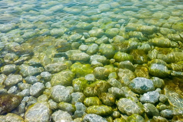 stock image Sea-bottom