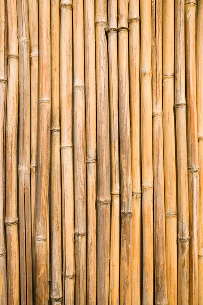 stock image Bamboo wall