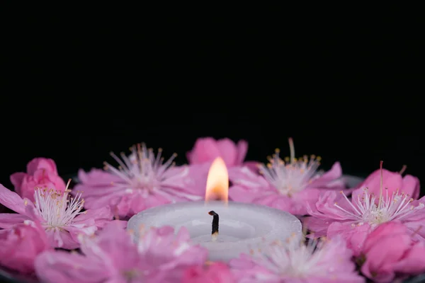 stock image Flowers and candle