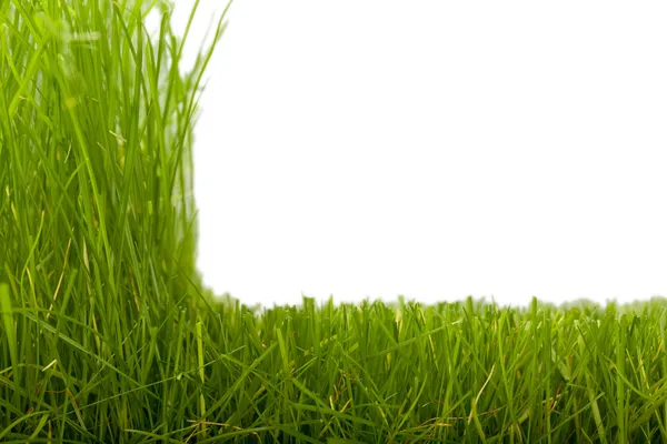 Gras & gemähtes Gras — Stockfoto