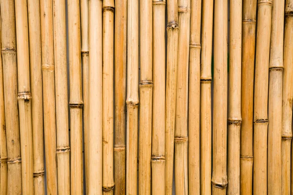 Wall bamboo — Stock Photo, Image