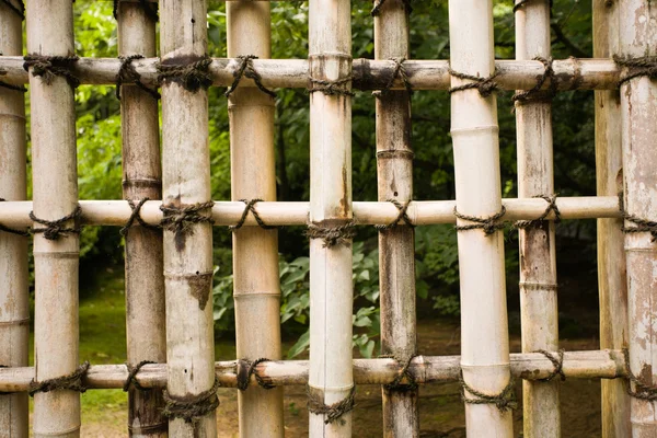 Захист природних бамбука — стокове фото