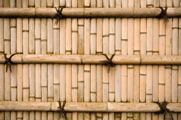 Wall bamboo — Stock Photo, Image
