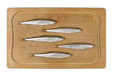 Sprat Fish clipart