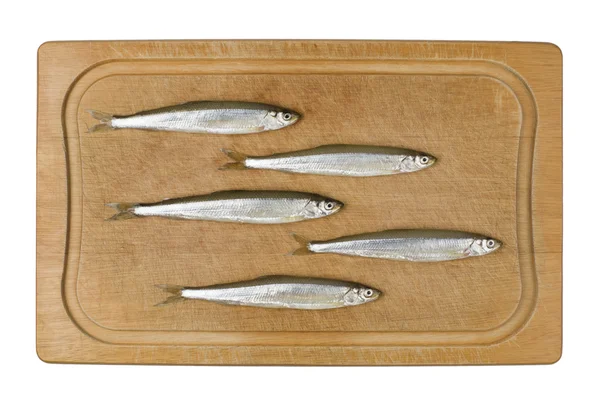 stock image Sprat Fish