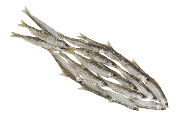 Fishery concept — Stock Image Fishery concept Royalty Free Stock Photos