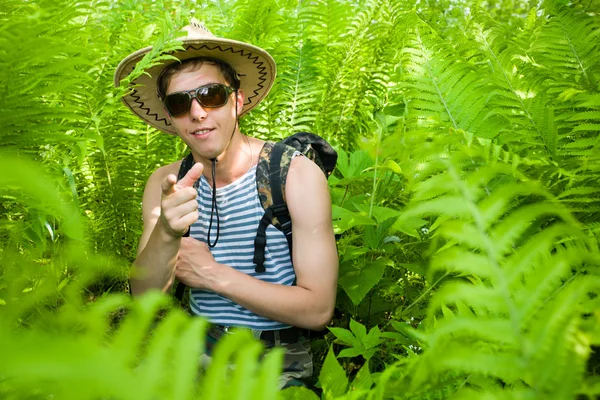 Escursionista e felci — Foto Stock