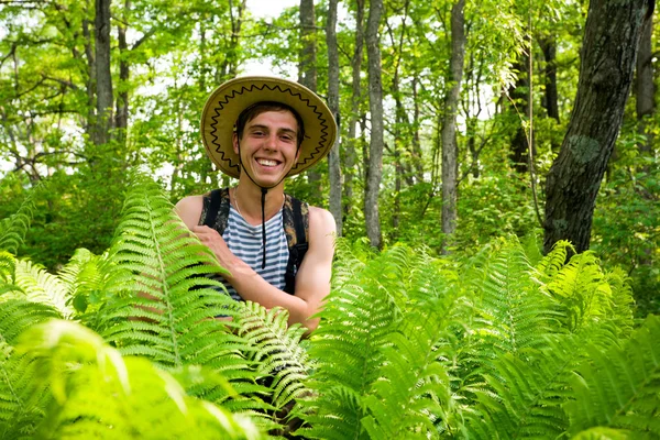 Escursionista e felce — Foto Stock
