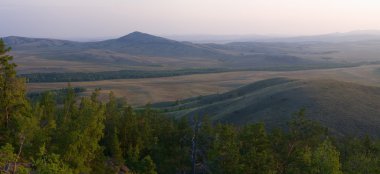 dağ ve ağaçları ile peyzaj