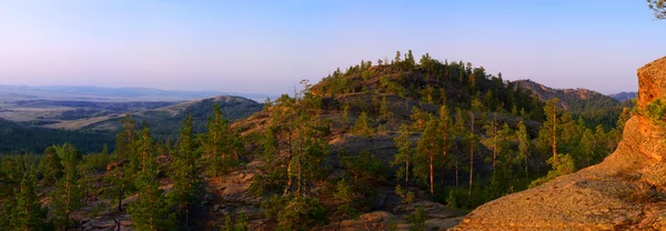 Гора покрытая деревьями — ストック写真