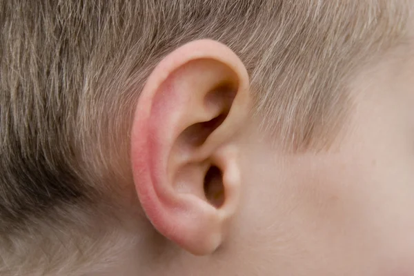 Oído humano —  Fotos de Stock