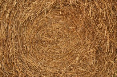 Closeup of a bale of hay