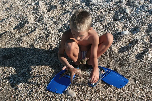 Pojke hittade sjöstjärna — Stockfoto