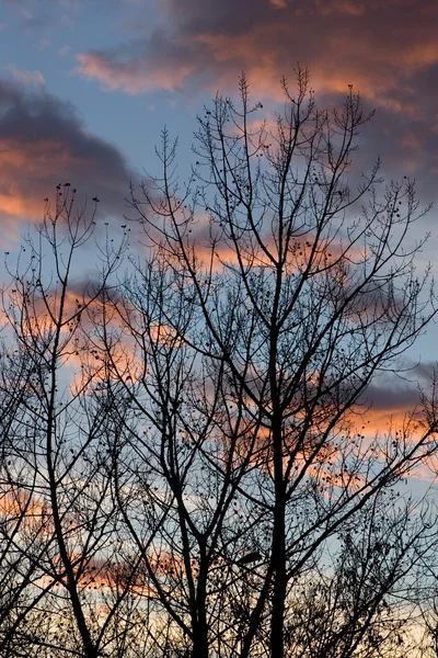 stock image Sunset