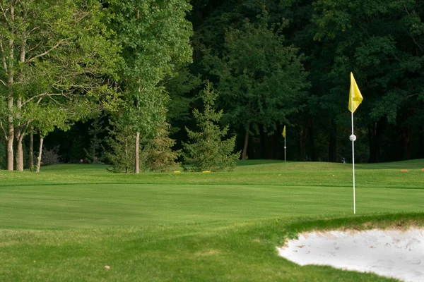 Golf course — Stock Photo, Image
