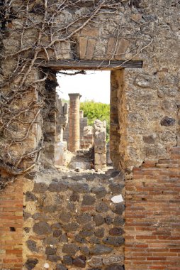 pompeii duvara