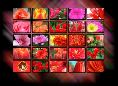 Color multidisplay tv monitors clipart