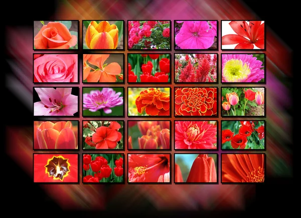 Monitores de televisión multipantalla a color —  Fotos de Stock