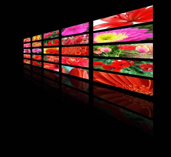 Color monitors with flowers — Stock Photo, Image