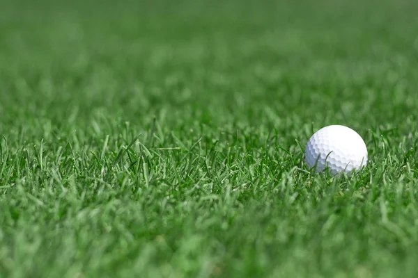 Yeşil çim ve golfball — Stok fotoğraf
