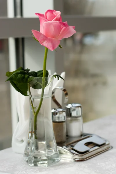 Rose in bowl — Stock Photo, Image