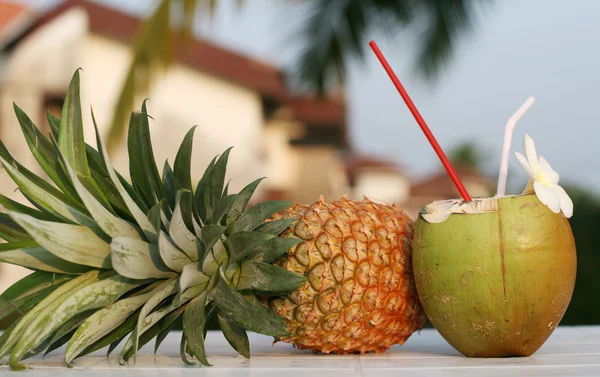 Kokosnøtt og ananas – stockfoto