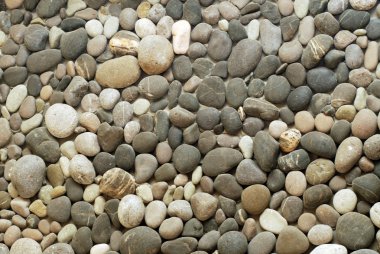 Beach rocks clipart