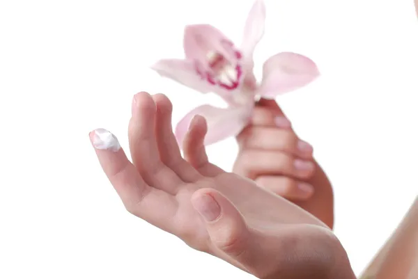 Hands of woman and orchid — Stock Photo, Image