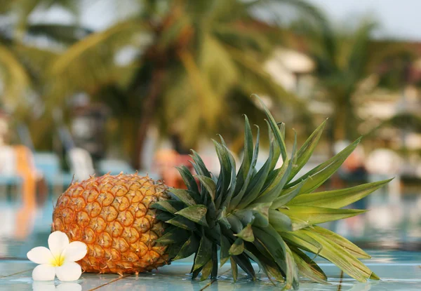 Färsk ananas och pool — Stockfoto
