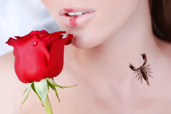 赤いバラと蠍座 — ストック写真
