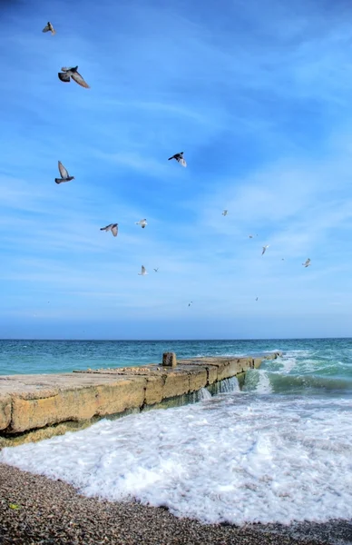 Flying gulls over the blue sea — Stock Photo, Image